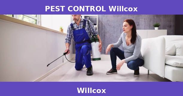 PEST CONTROL Willcox